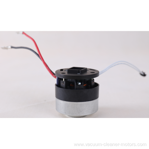 Vacuum Cleaner Bldc Dry Motor